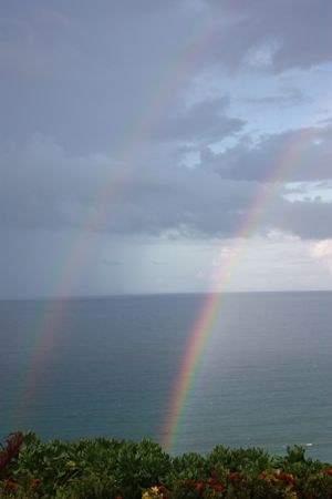 Double Rainbow3